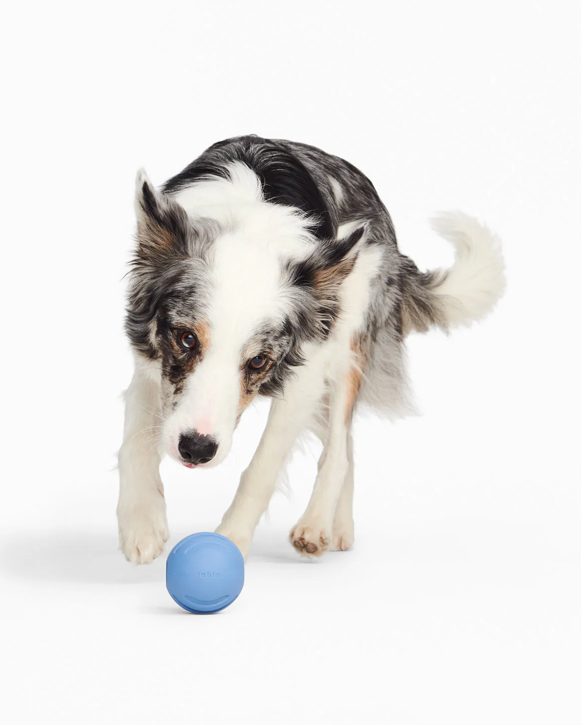 Signature Ball - Image 5