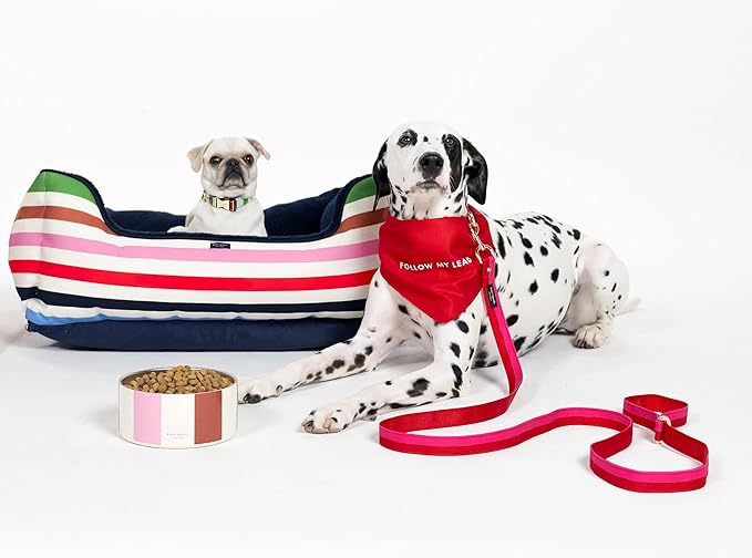 Kate Spade Adventure Stripe Food & Water Bowl for Dogs, Stainless Steel Small Bowl with Non-Slip Base - Image 5