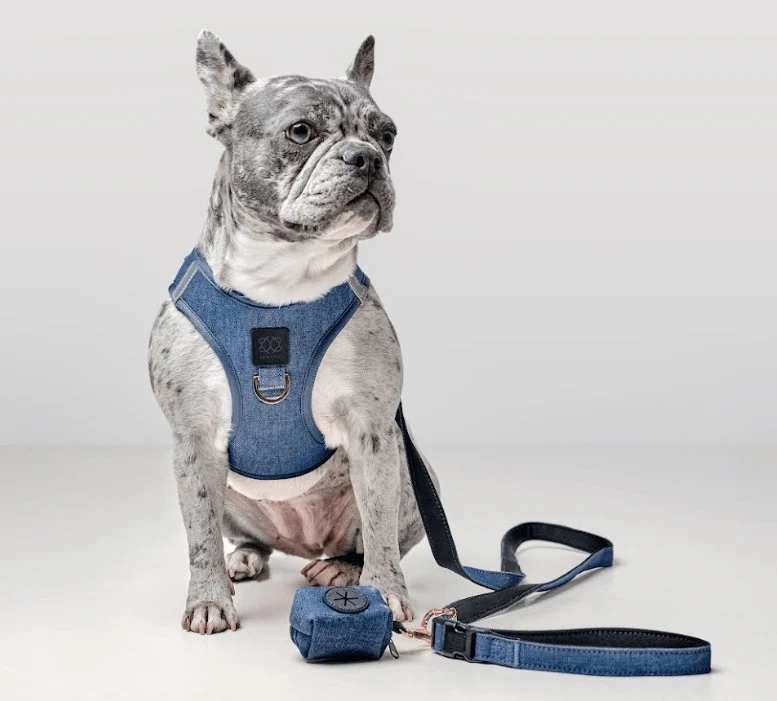 SoHo Dog Harness - Denim - Image 7