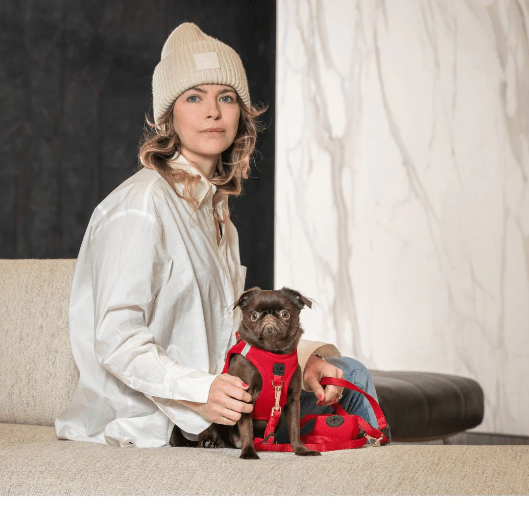 SoHo Dog Harness - Iconic Red - Image 4
