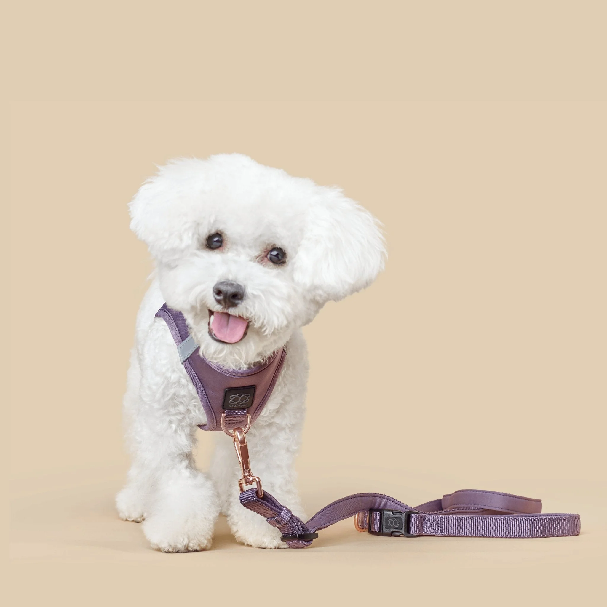 SoHo Dog Harness - Lilac Gray - Image 4