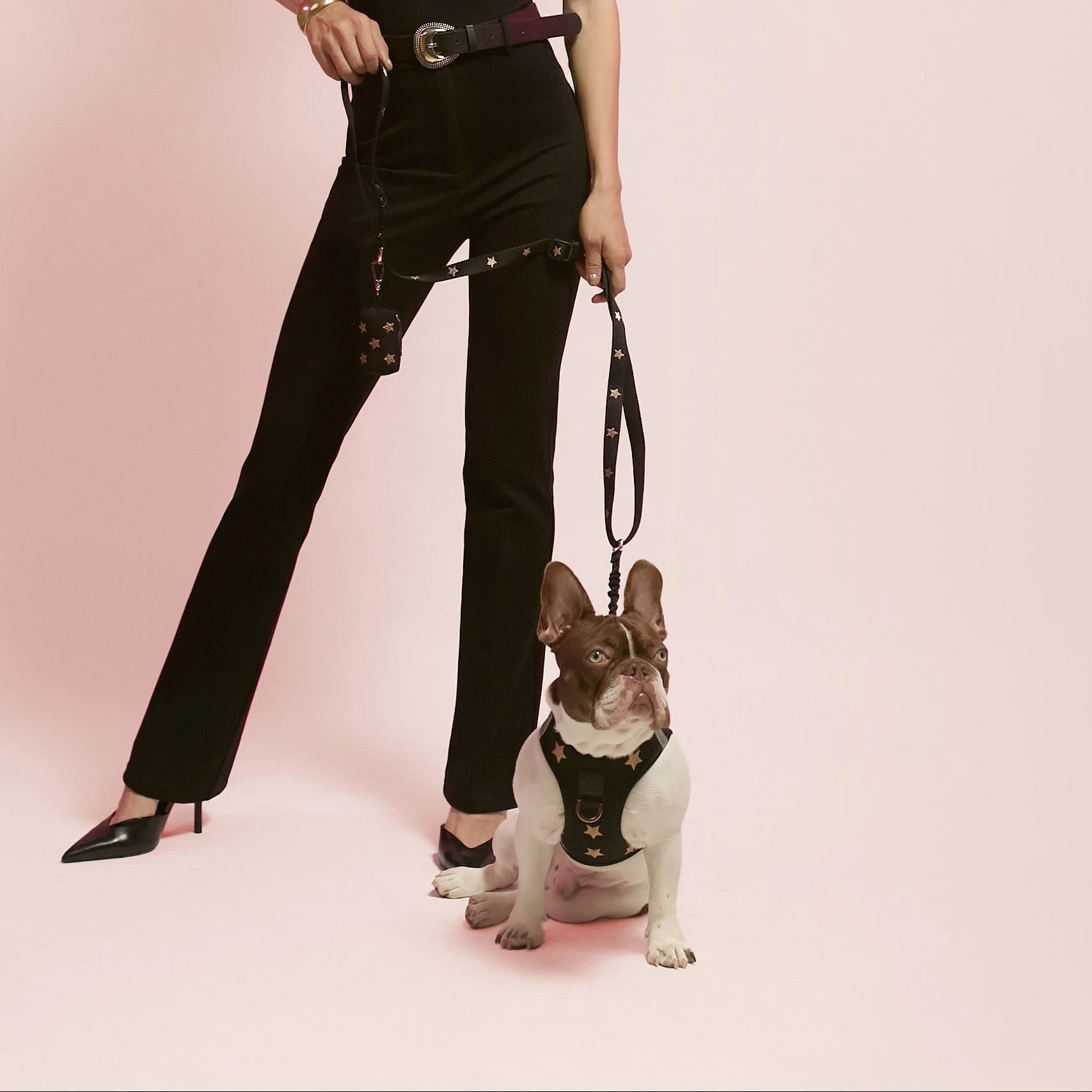 SoHo Dog Harness - Rockstar - Image 5