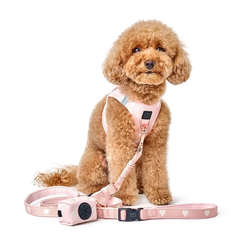 SoHo Dog Harness - Sweetheart - Image 5