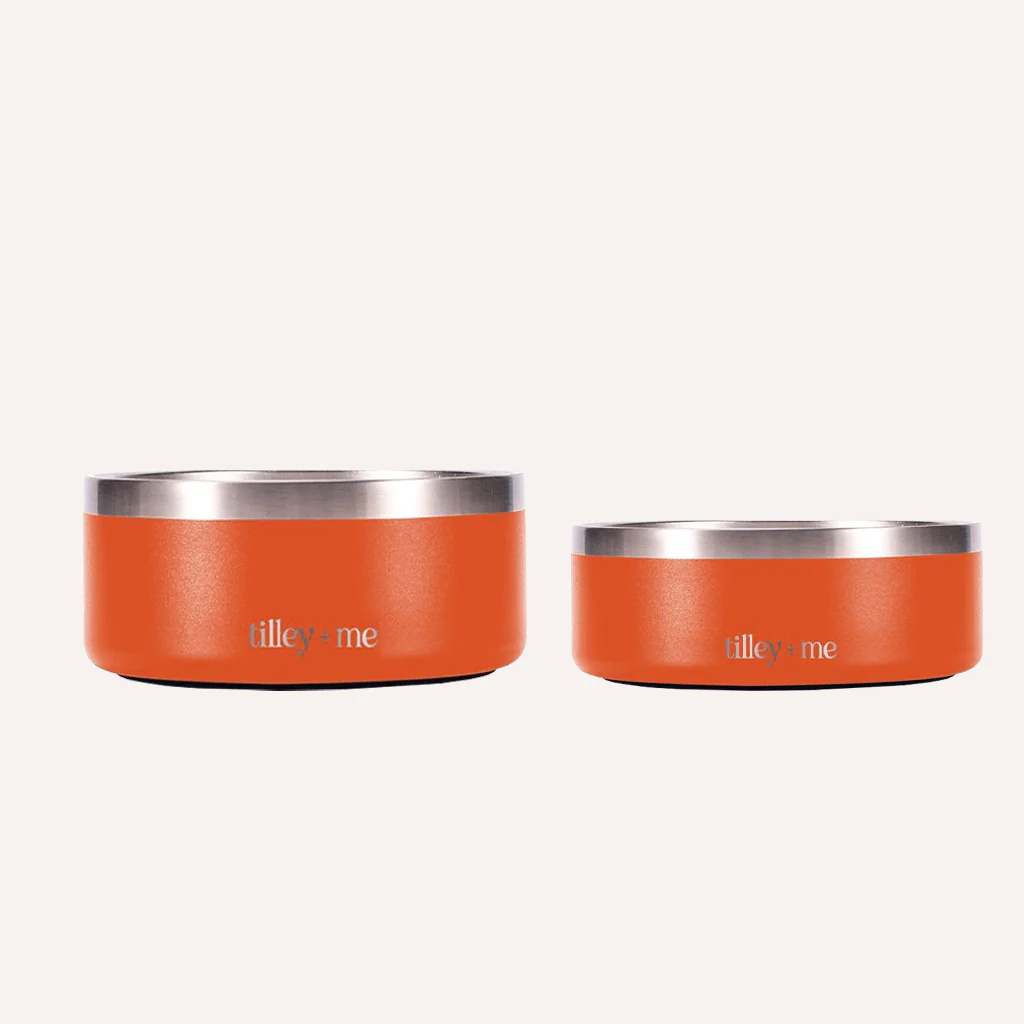 Tilley + Me Stainless Steel Pet Bowl – Non-Slip, Durable & Dishwasher Safe | 32oz and 64oz - Image 20