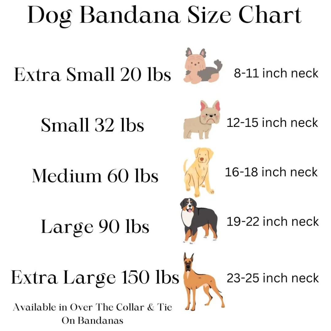 Starfish Dog Bandana - Image 4