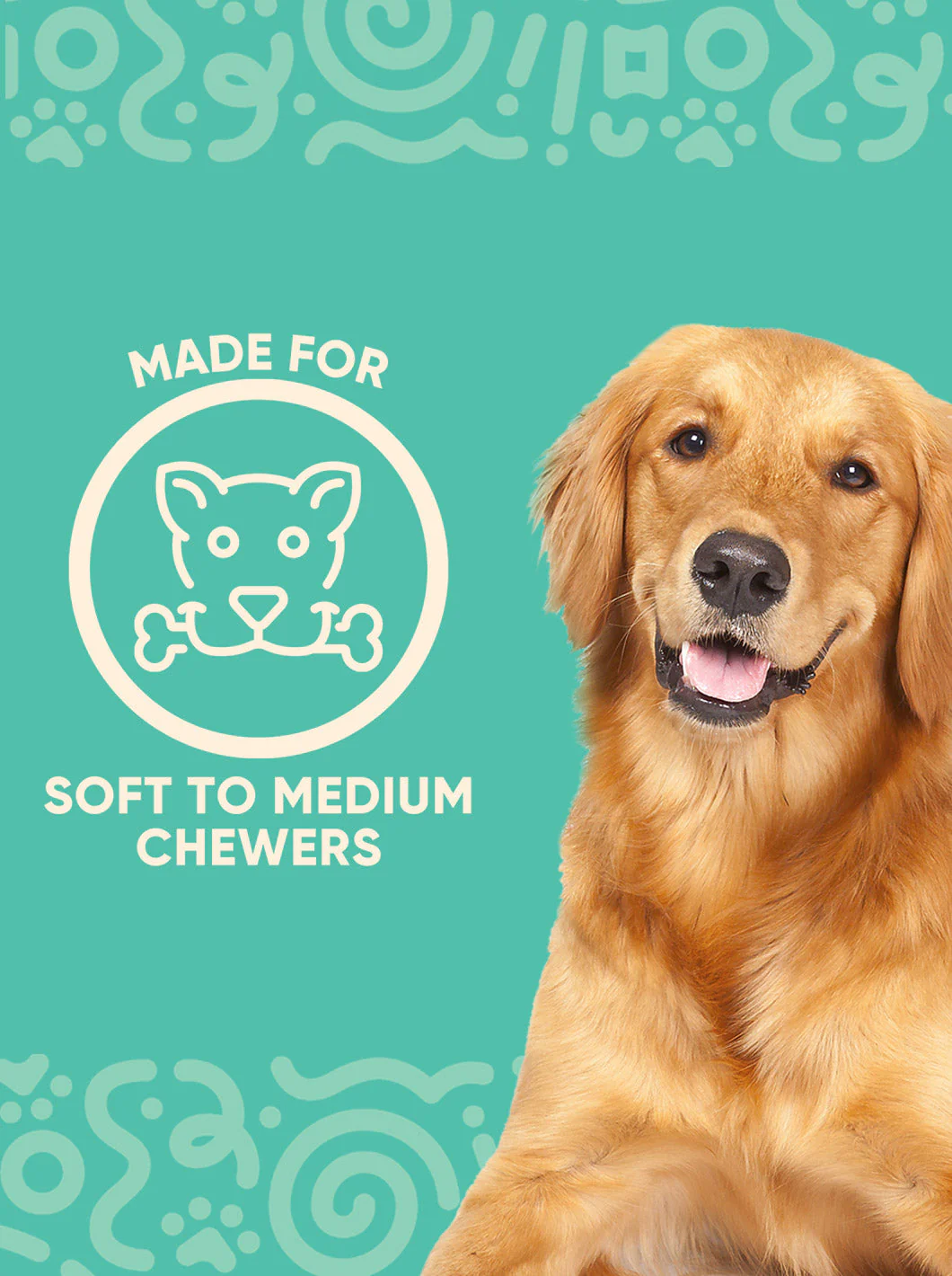 ToothBuddy - Image 5