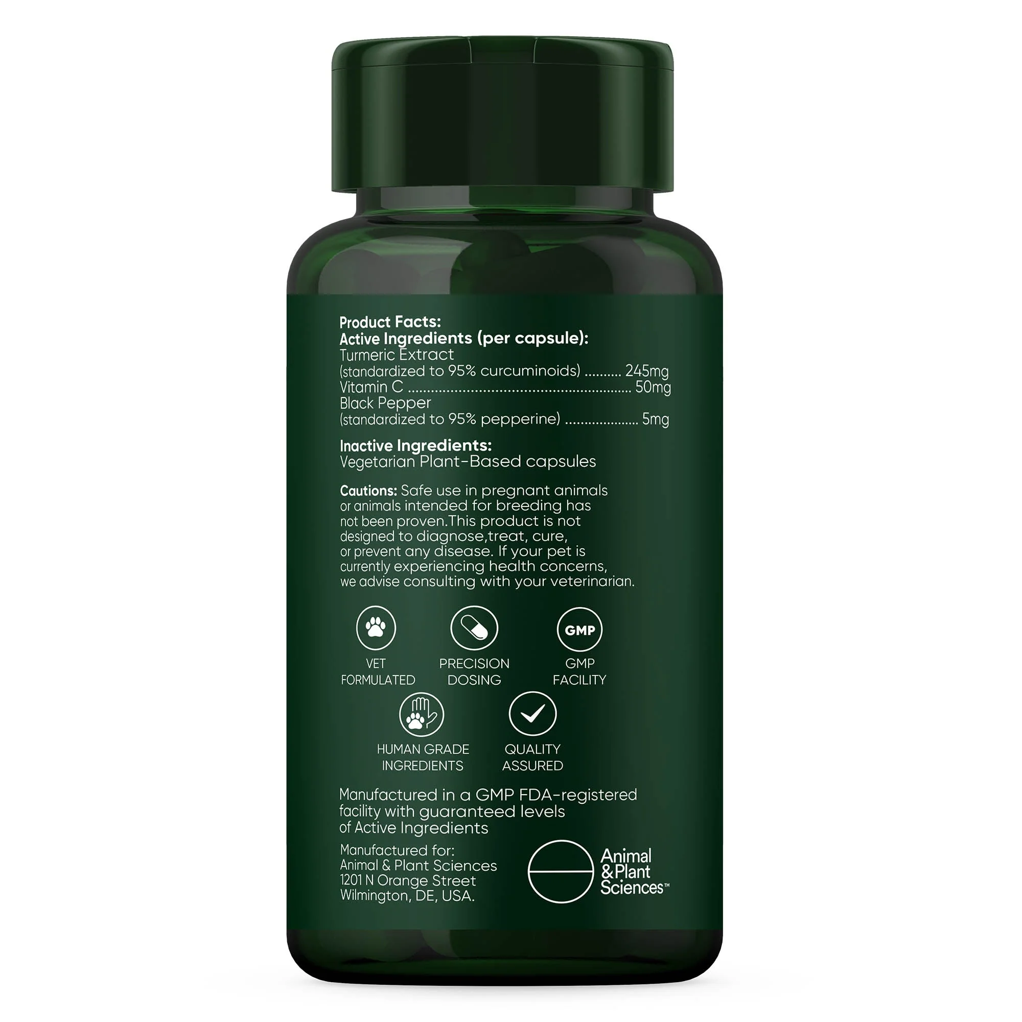 Turmeric - Image 10
