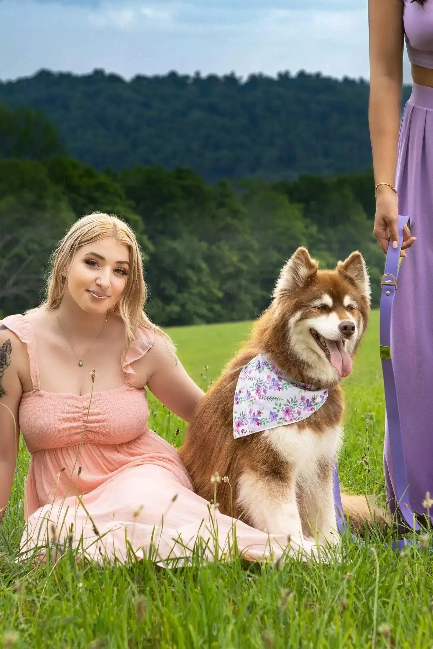 Wildflower Meadow Dog Bandana - Image 3